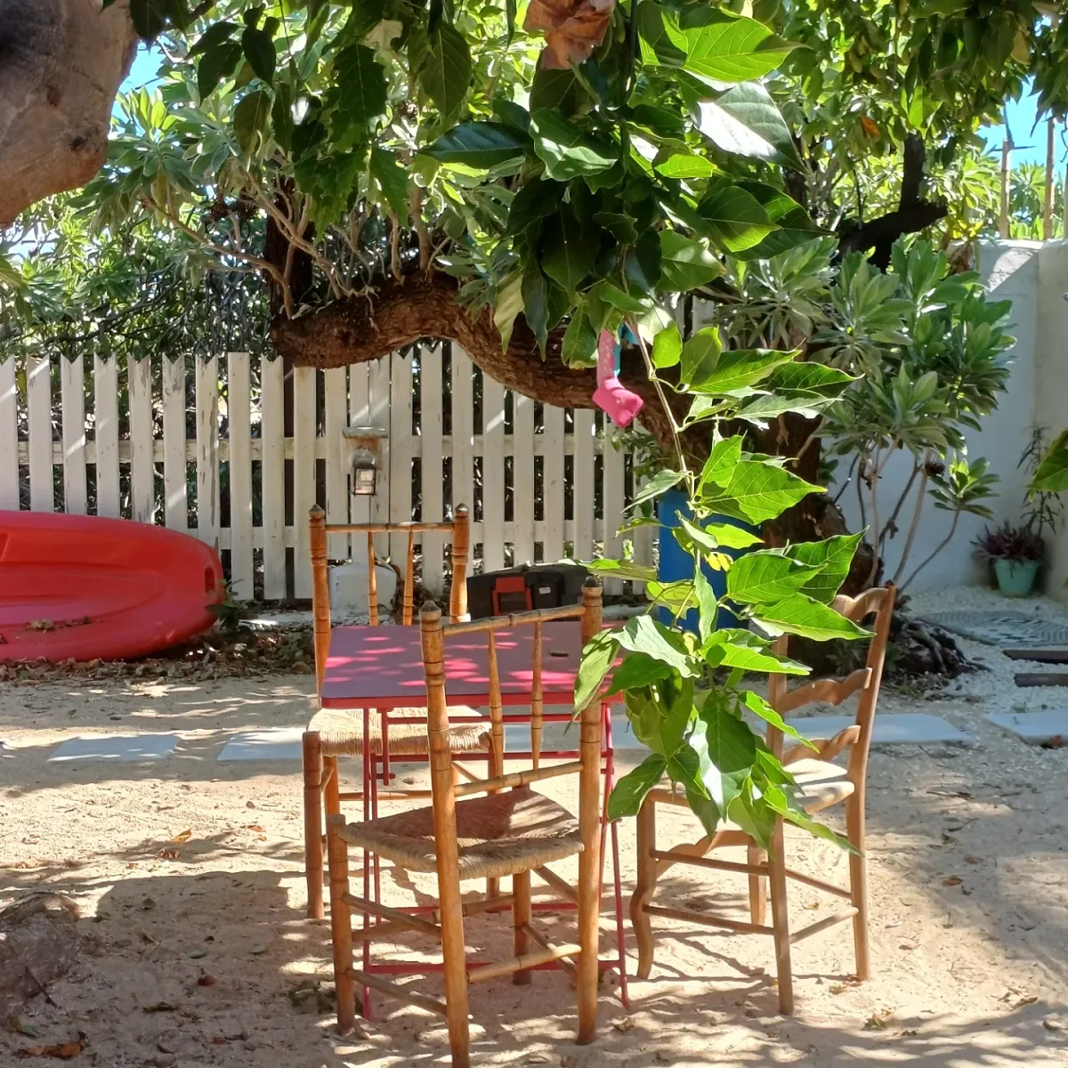 La table du jardin à l'ombre de l'arbre